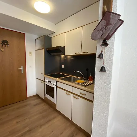 Haus Alpalin - Adjacent Studios 'Mischabel', Cosy, Central Saas-Fee Exterior photo