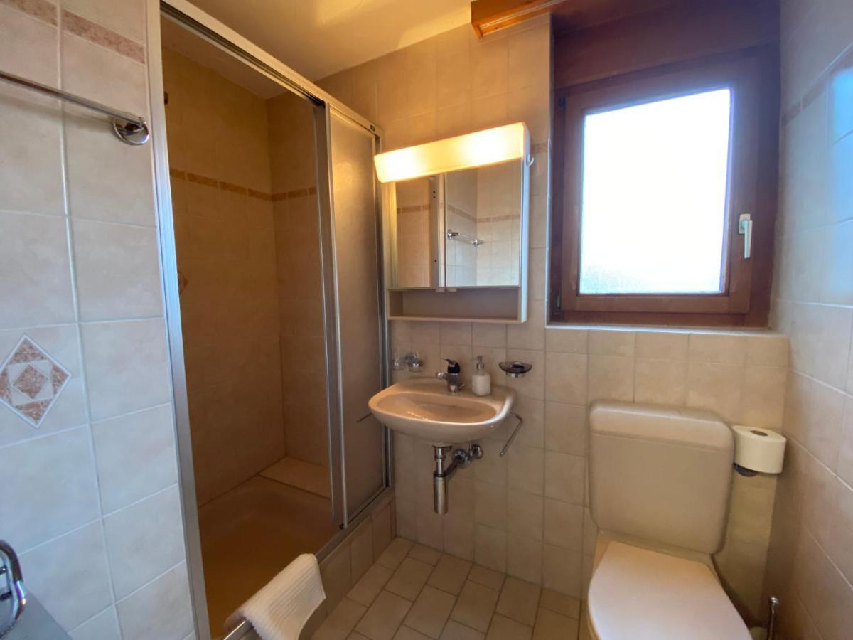 Haus Alpalin - Adjacent 'mischabel', Cosy, *
